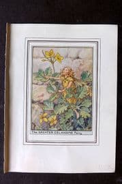 Cicely Mary Barker C1930 Vintage Flower Fairy Print. Greater Celandine Fairy