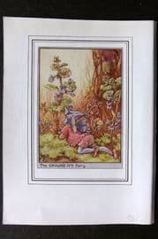 Cicely Mary Barker C1930 Vintage Flower Fairy Print. Ground Ivy Fairy