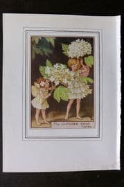 Cicely Mary Barker C1930 Vintage Flower Fairy Print. Guelder Rose