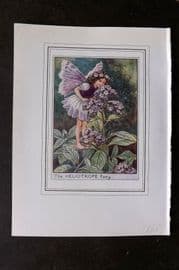 Cicely Mary Barker C1930 Vintage Flower Fairy Print. Heliotrope