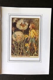 Cicely Mary Barker C1930 Vintage Flower Fairy Print. Jack Go-To-Bed-At-Noon. Fairy