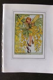Cicely Mary Barker C1930 Vintage Flower Fairy Print. Laburnum