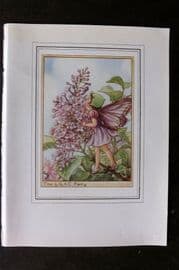 Cicely Mary Barker C1930 Vintage Flower Fairy Print. Lilac
