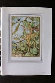 Cicely Mary Barker C1930 Vintage Flower Fairy Print. Lime Tree