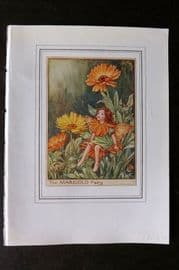 Cicely Mary Barker C1930 Vintage Flower Fairy Print. Marigold