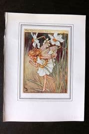 Cicely Mary Barker C1930 Vintage Flower Fairy Print. Narcissus