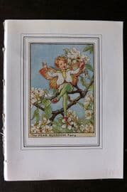 Cicely Mary Barker C1930 Vintage Flower Fairy Print. Pear Blossom