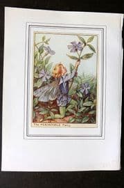 Cicely Mary Barker C1930 Vintage Flower Fairy Print. Periwinkle