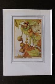 Cicely Mary Barker C1930 Vintage Flower Fairy Print. Plane Tree