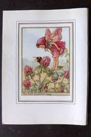 Cicely Mary Barker C1930 Vintage Flower Fairy Print. Red Clover Fairy