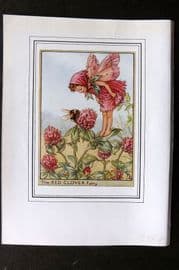 Cicely Mary Barker C1930 Vintage Flower Fairy Print. Red Clover Fairy