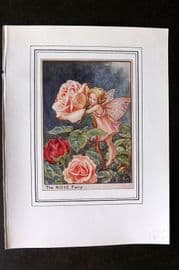 Cicely Mary Barker C1930 Vintage Flower Fairy Print. Rose