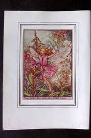 Cicely Mary Barker C1930 Vintage Flower Fairy Print. Rose Bay Willow-Herb Fairy