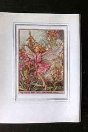 Cicely Mary Barker C1930 Vintage Flower Fairy Print. Rose Bay Willow-Herb Fairy