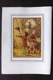 Cicely Mary Barker C1930 Vintage Flower Fairy Print. Rush-Grass & Cotton-Grass Fairies