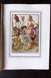 Cicely Mary Barker C1930 Vintage Flower Fairy Print. Self-Heal Fairy