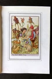 Cicely Mary Barker C1930 Vintage Flower Fairy Print. Self-Heal Fairy