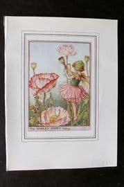 Cicely Mary Barker C1930 Vintage Flower Fairy Print. Shirley Poppy