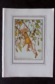 Cicely Mary Barker C1930 Vintage Flower Fairy Print. Silver Birch