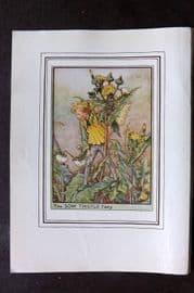 Cicely Mary Barker C1930 Vintage Flower Fairy Print. Sow Thistle Fairy