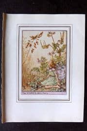 Cicely Mary Barker C1930 Vintage Flower Fairy Print. Stork's Bill Fairy