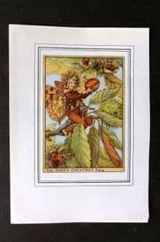 Cicely Mary Barker C1930 Vintage Flower Fairy Print. Sweet Chestnut