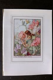 Cicely Mary Barker C1930 Vintage Flower Fairy Print. Sweet-Pea