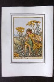 Cicely Mary Barker C1930 Vintage Flower Fairy Print. Tansy Fairy