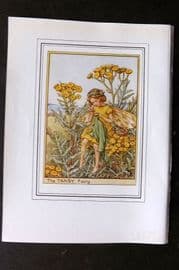 Cicely Mary Barker C1930 Vintage Flower Fairy Print. Tansy Fairy