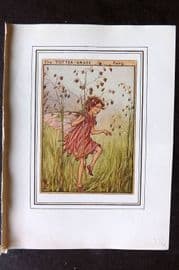 Cicely Mary Barker C1930 Vintage Flower Fairy Print. Totter Grass Fairy