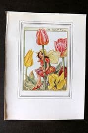 Cicely Mary Barker C1930 Vintage Flower Fairy Print. Tulip