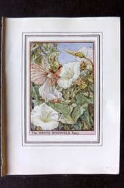 Cicely Mary Barker C1930 Vintage Flower Fairy Print. White Bindweed Fairy