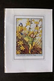 Cicely Mary Barker C1930 Vintage Flower Fairy Print. Winter Jasmine