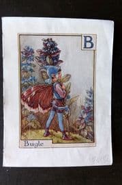 Cicely Mary Barker C1940 Flower-Fairy Alphabet Print. B - Bugle