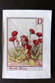 Cicely Mary Barker C1940 Flower-Fairy Alphabet Print. D - Double Daisy