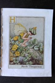 Cicely Mary Barker C1940 Flower-Fairy Alphabet Print. H - Herb Twopence