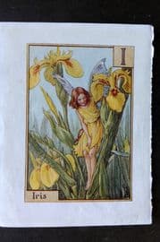 Cicely Mary Barker C1940 Flower-Fairy Alphabet Print. I - Iris