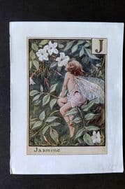 Cicely Mary Barker C1940 Flower-Fairy Alphabet Print. J - Jasmine