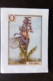 Cicely Mary Barker C1940 Flower-Fairy Alphabet Print. O - Orchis