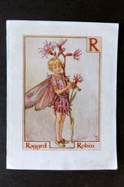 Cicely Mary Barker C1940 Flower-Fairy Alphabet Print. R - Ragged Robin