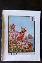 Cicely Mary Barker C1940 Flower-Fairy Alphabet Print. T - Thrift
