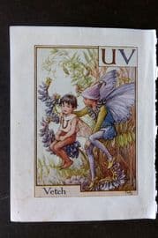 Cicely Mary Barker C1940 Flower-Fairy Alphabet Print. UV - Vetch