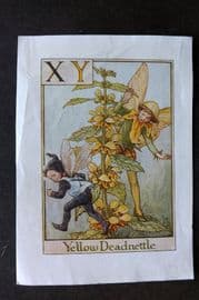 Cicely Mary Barker C1940 Flower-Fairy Alphabet Print. XY - Yellow Deadnettle