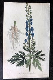 Cox Medical Botany 1822 Botanical Print. Wolfe's Bane, Monkshood or Aconite 81