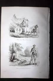 d'Urville 1834 Antique Print. Burma - Costume