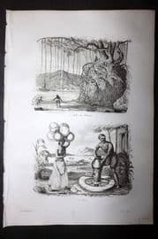 d'Urville 1834 Antique Print. India - Banyan Tree & Pottery Maker