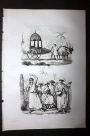 d'Urville 1834 Antique Print. India - Malabar Buffalo & Musicians, Dancers