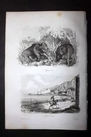 d'Urville 1834 Antique Print. Seychelles - Hippo & Mahe