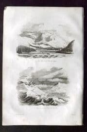 d'Urville 1834 Antique Print. South Africa - Cape Town & Table Mountain