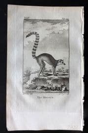 Goldsmith 1779 Antique Print. Mococo